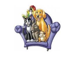 Dogs and their Humans